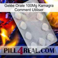 Gelée Orale 100Mg Kamagra Comment Utiliser 16